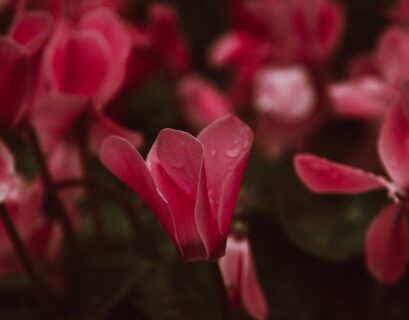 découvrez l'élégance discrète qui sublime chaque moment. plongez dans un univers raffiné où la simplicité se marie à la sophistication, pour des choix intemporels et un style inégalé.